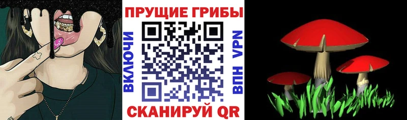 Галлюциногенные грибы мицелий  наркота  Узловая 